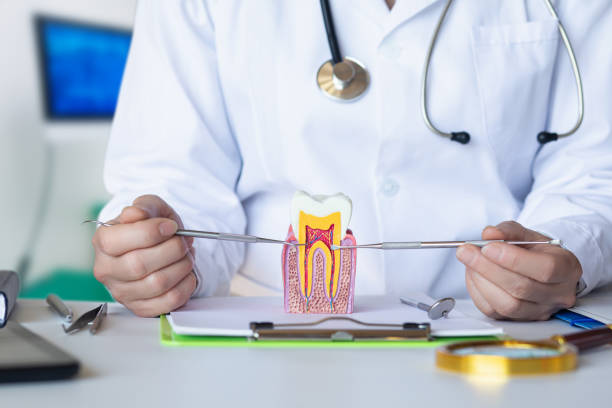 Best Broken or Cracked Tooth Emergency Dentist in Ontario, OR